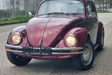 VW Käfer Gebrauchtwagen