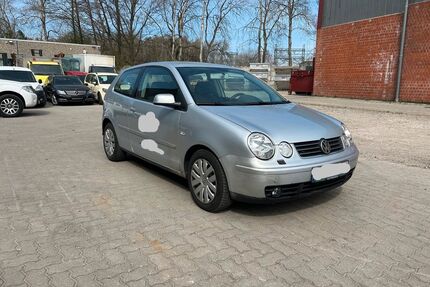 VW Polo Gebrauchtwagen