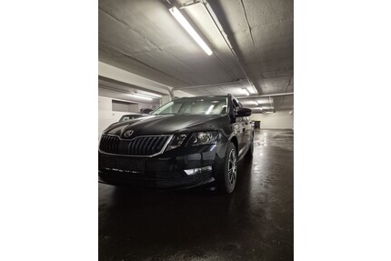 Skoda Octavia Combi Gebrauchtwagen