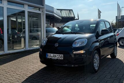 Fiat Panda Gebrauchtwagen