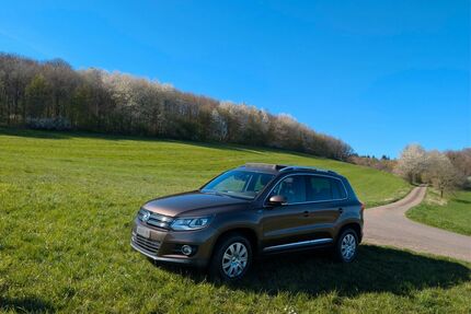 VW Tiguan Gebrauchtwagen