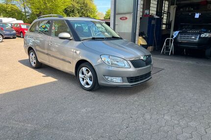 Skoda Fabia Gebrauchtwagen
