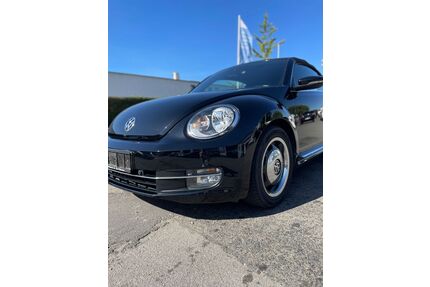 VW Beetle Gebrauchtwagen