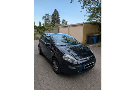 Fiat Punto Evo Gebrauchtwagen