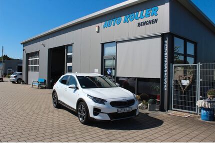 Kia XCeed Gebrauchtwagen