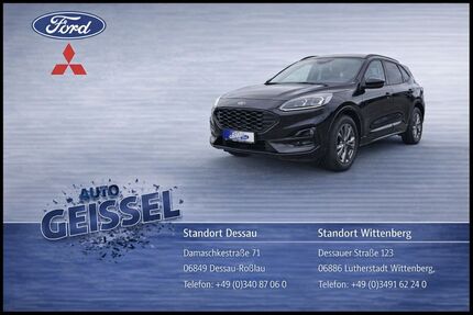 Ford Kuga Gebrauchtwagen