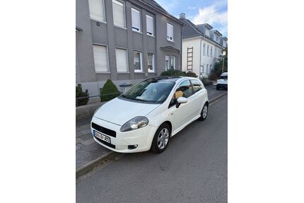 Fiat Punto Gebrauchtwagen