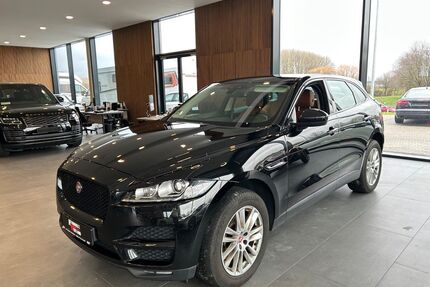 Jaguar F-Pace Gebrauchtwagen