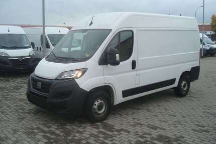Fiat Ducato Gebrauchtwagen