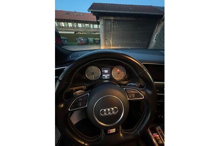 Audi SQ5 Gebrauchtwagen