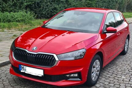 Skoda Fabia Gebrauchtwagen