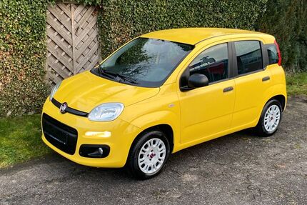 Fiat Panda Gebrauchtwagen