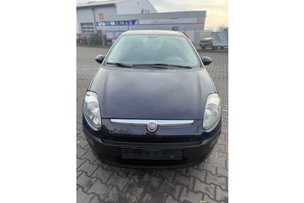 Fiat Punto Evo Gebrauchtwagen