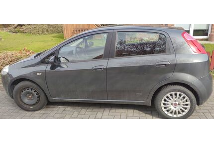 Fiat Punto Gebrauchtwagen