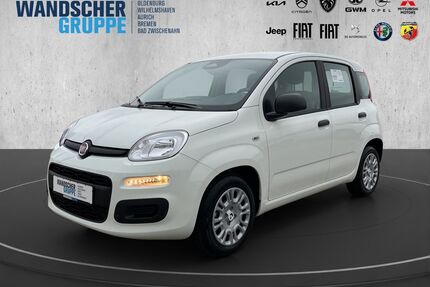 Fiat Panda Gebrauchtwagen