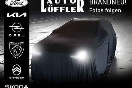 Ford EcoSport Gebrauchtwagen