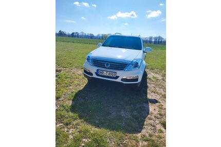 SsangYong REXTON Gebrauchtwagen