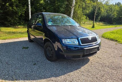 Skoda Fabia Gebrauchtwagen