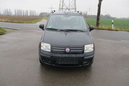 Fiat Panda Gebrauchtwagen