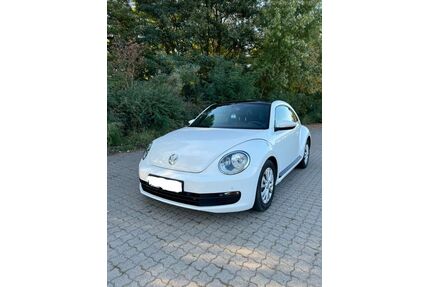 VW Beetle Gebrauchtwagen