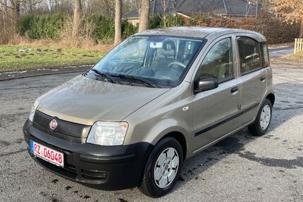 Fiat Panda Gebrauchtwagen