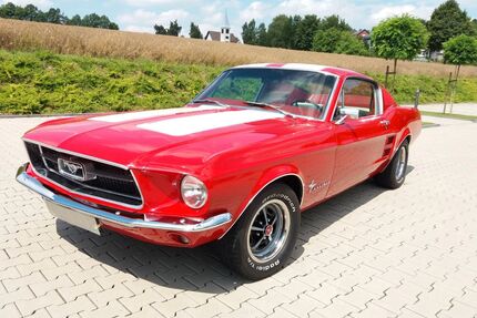 Ford Mustang Gebrauchtwagen