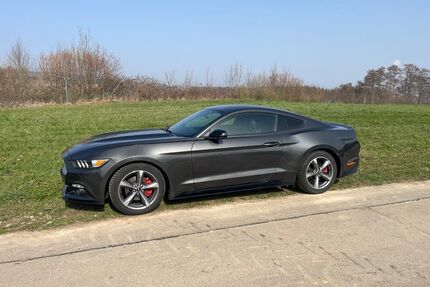 Ford Mustang Gebrauchtwagen