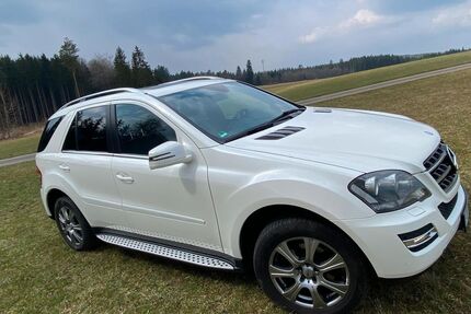 Mercedes-Benz ML 300 Gebrauchtwagen