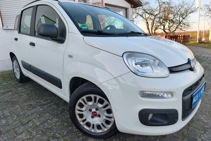 Fiat Panda Gebrauchtwagen