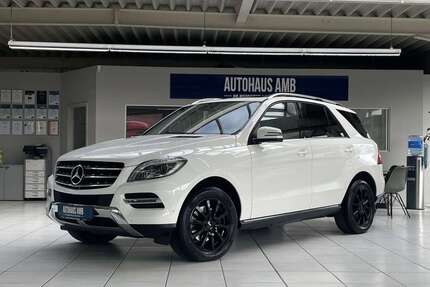 Mercedes-Benz ML 250 Gebrauchtwagen