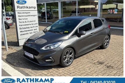 Ford Fiesta Gebrauchtwagen