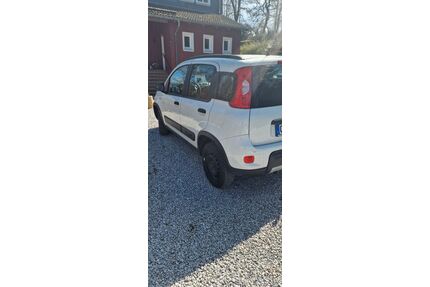 Fiat Panda Gebrauchtwagen