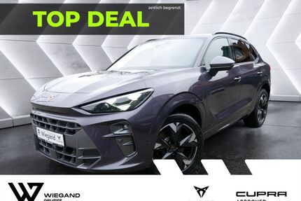Cupra Terramar Gebrauchtwagen