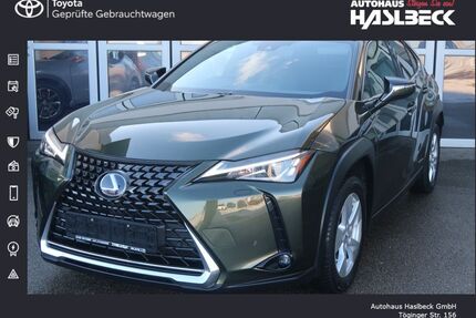 Lexus UX Gebrauchtwagen