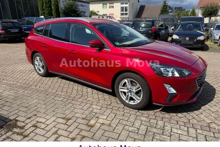 Ford Focus Gebrauchtwagen