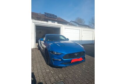 Ford Mustang Gebrauchtwagen