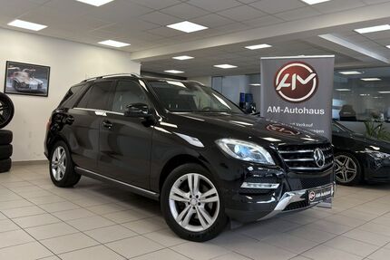 Mercedes-Benz ML 350 Gebrauchtwagen