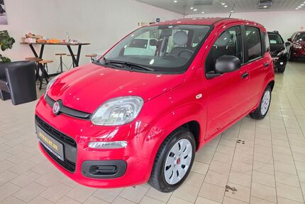 Fiat Panda Gebrauchtwagen