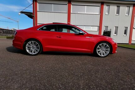 Audi S5 Gebrauchtwagen