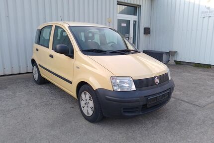 Fiat Panda Gebrauchtwagen