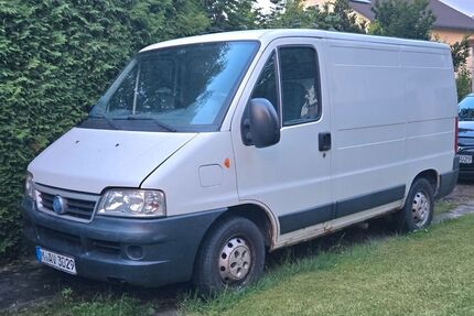 Fiat Ducato Gebrauchtwagen