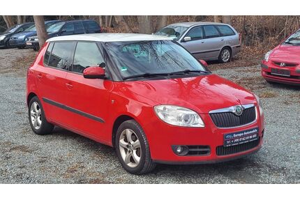 Skoda Fabia Gebrauchtwagen