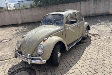 VW Käfer Gebrauchtwagen