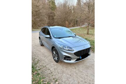 Ford Kuga Gebrauchtwagen
