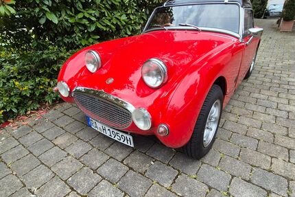 Austin Healey Andere Gebrauchtwagen