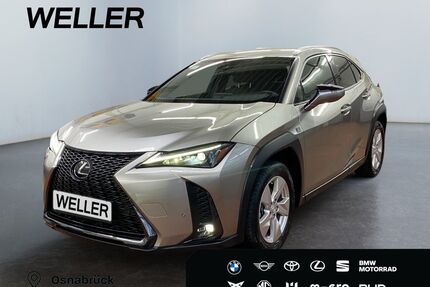 Lexus UX Gebrauchtwagen