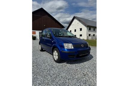 Fiat Panda Gebrauchtwagen