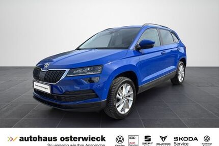 Skoda Karoq Gebrauchtwagen