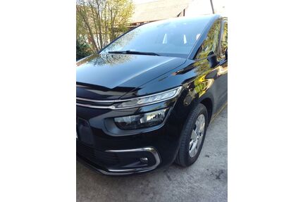 Citroen C4 Picasso Gebrauchtwagen
