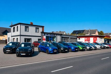 Ford Focus Gebrauchtwagen